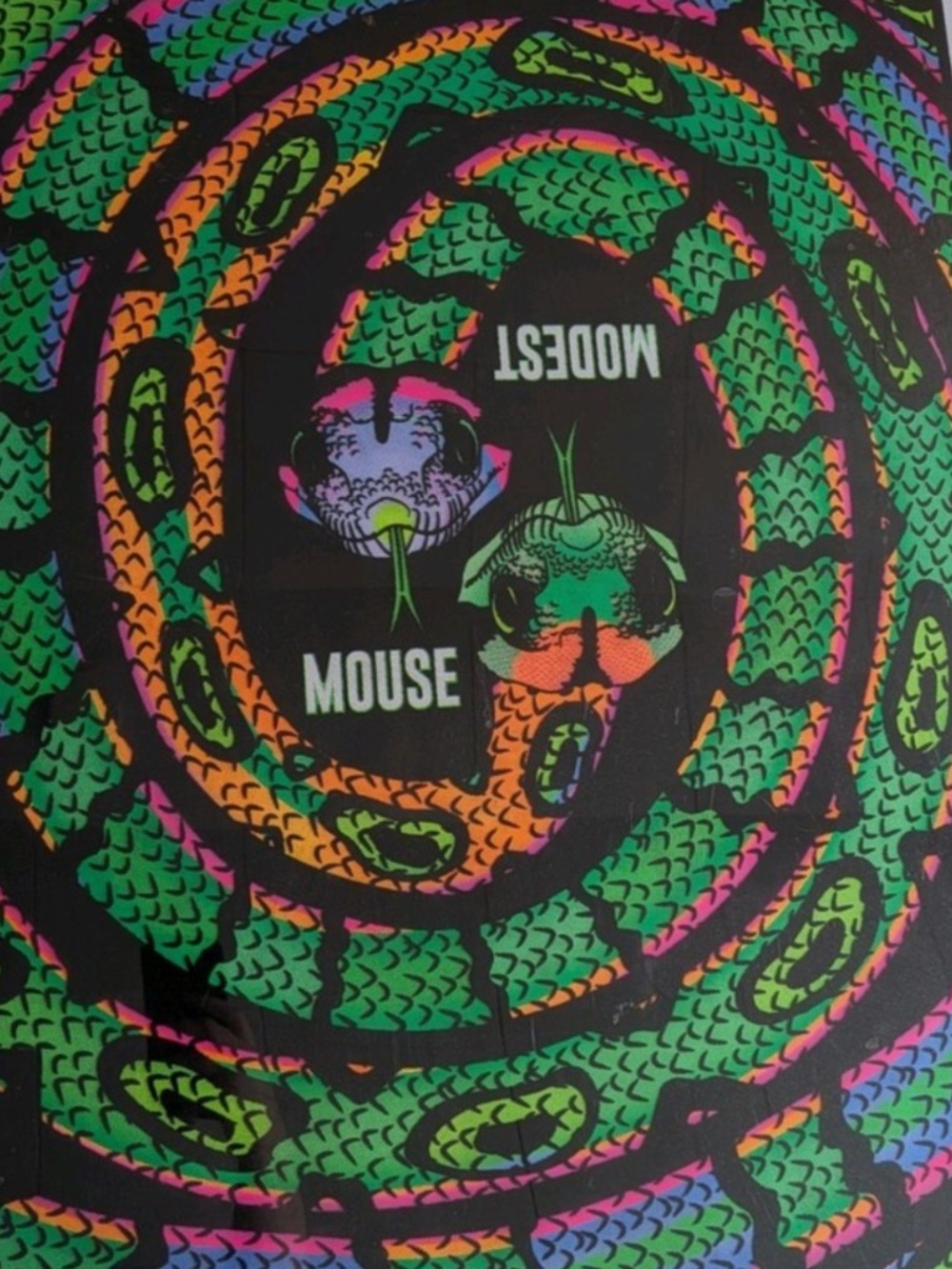 Modest Mouse Velvet Snake Poster Blacklight Reactive